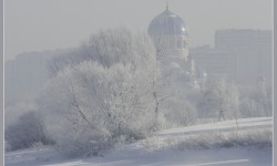 Старица-Алипия