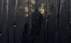 506